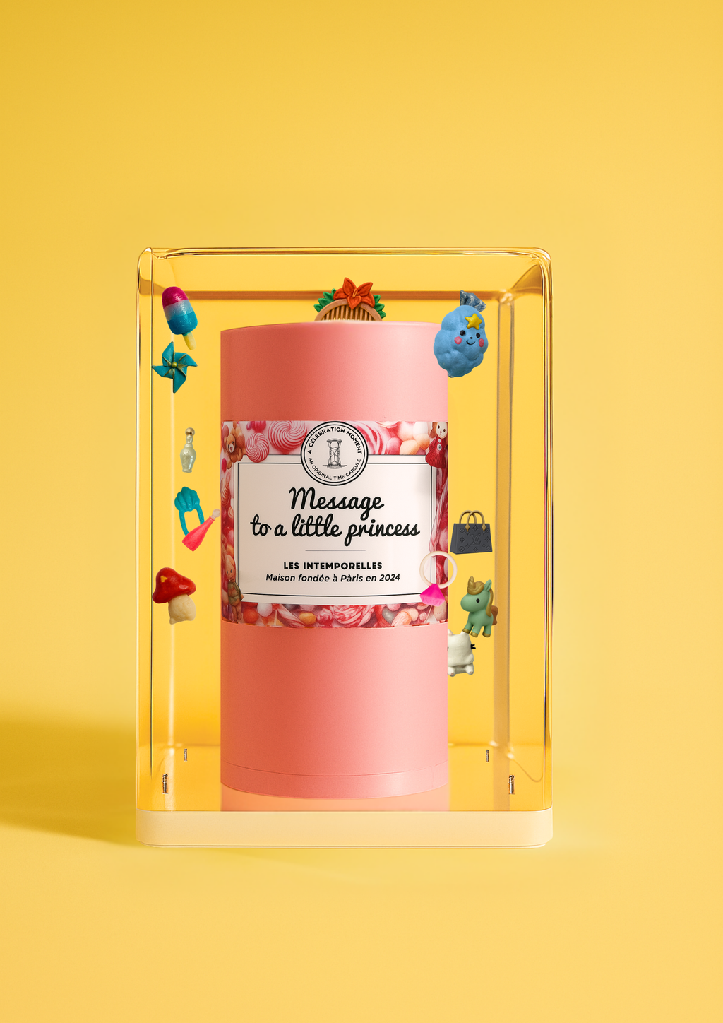 Memory fragment for a little princess