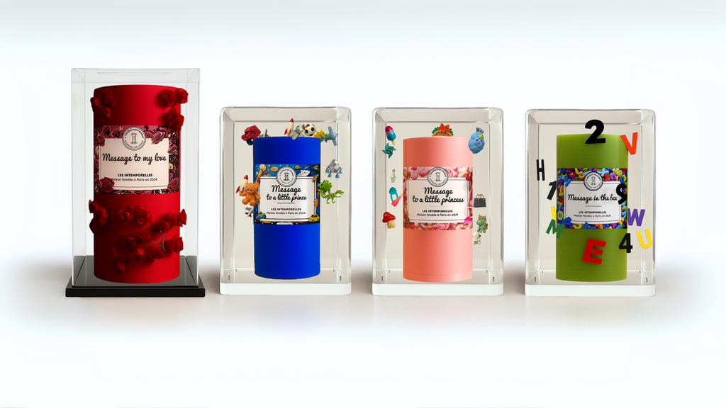 Memory fragment for a little princess