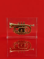 Trumpet trapped in glass
