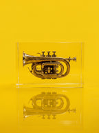 Trumpet trapped in glass