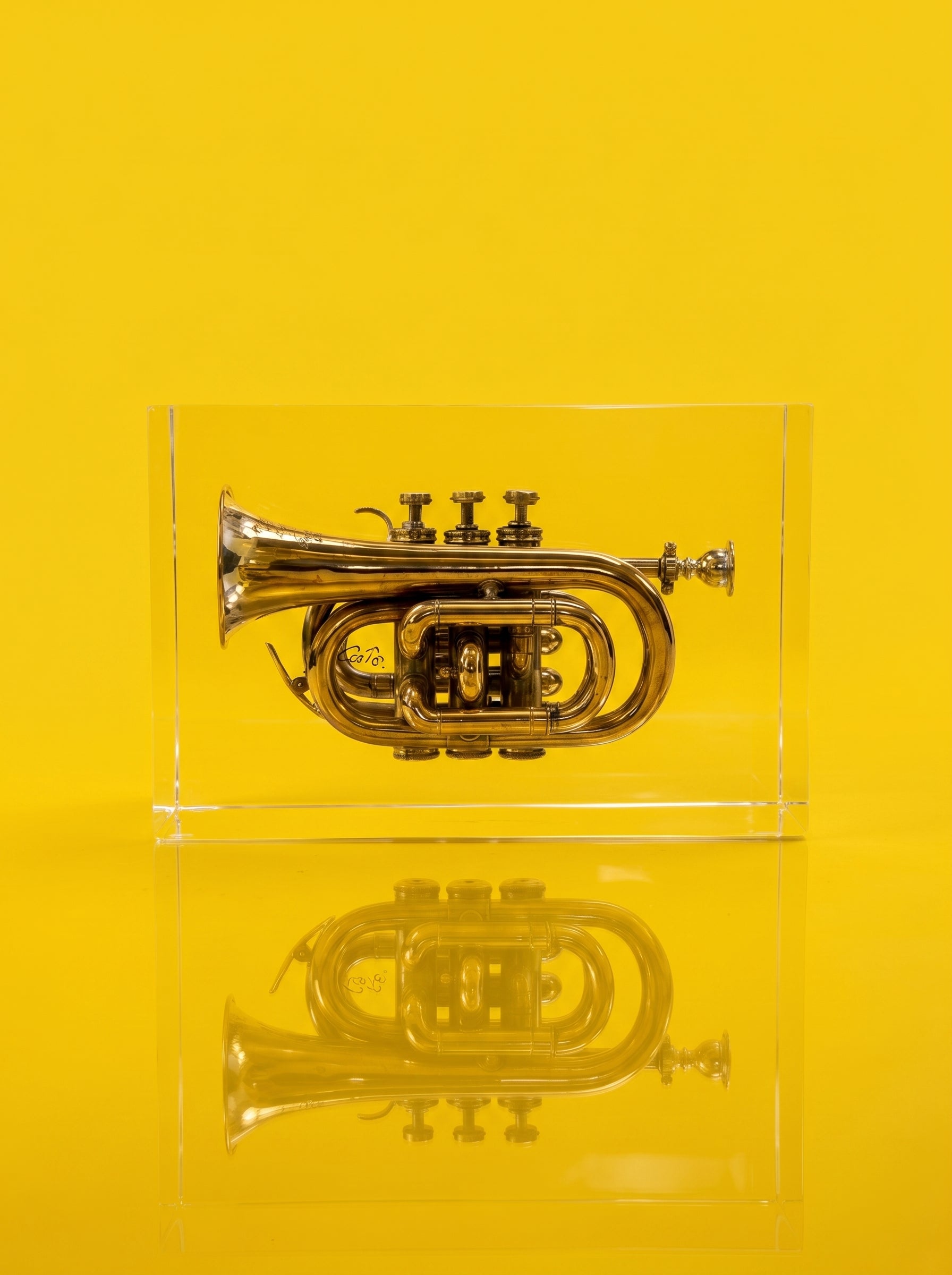 Trumpet trapped in glass