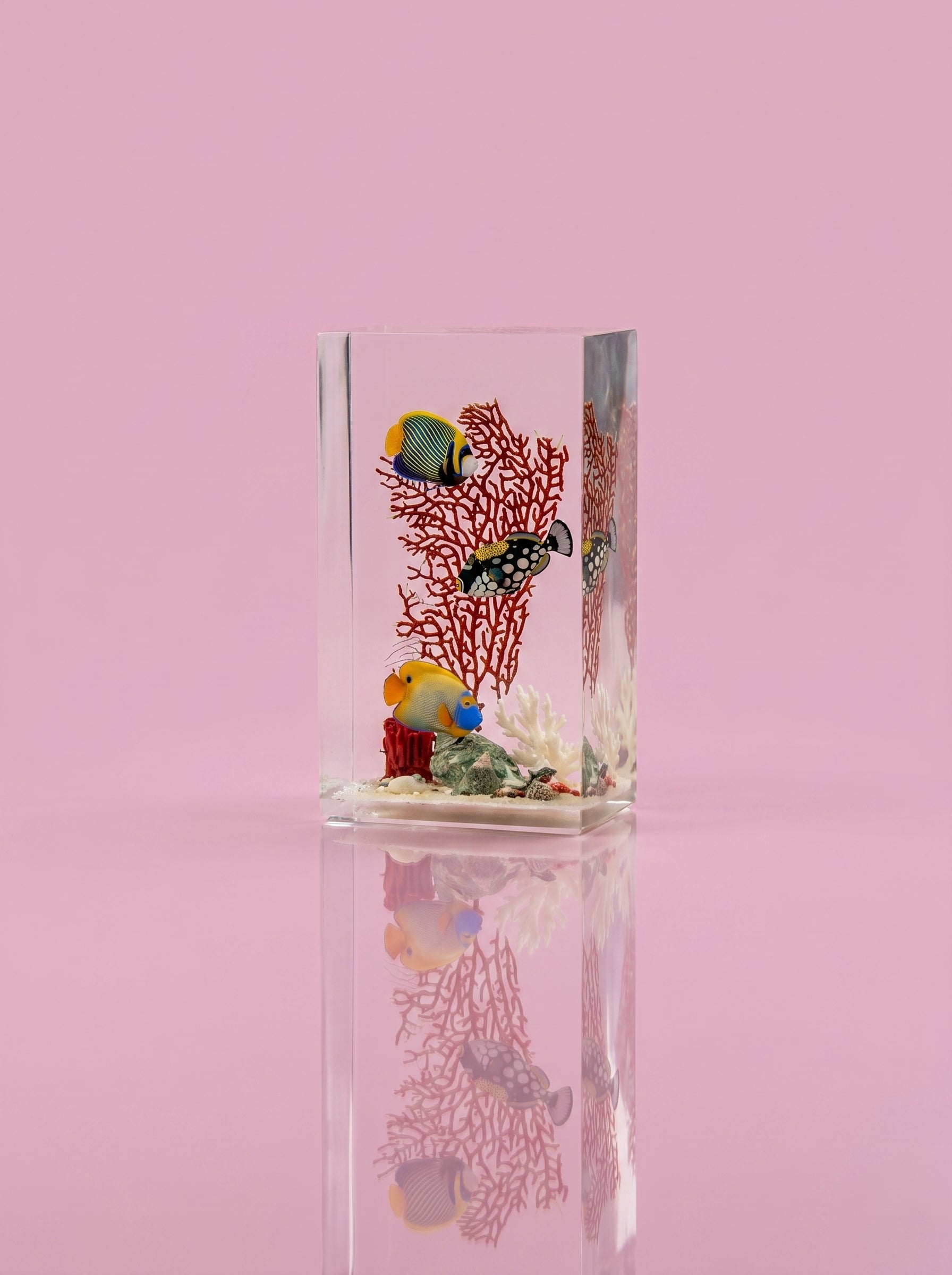 Fish without chips - Small