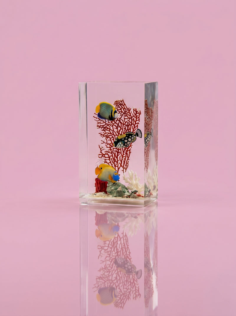 Fish without chips - Small