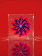 Pink & Blue Flower