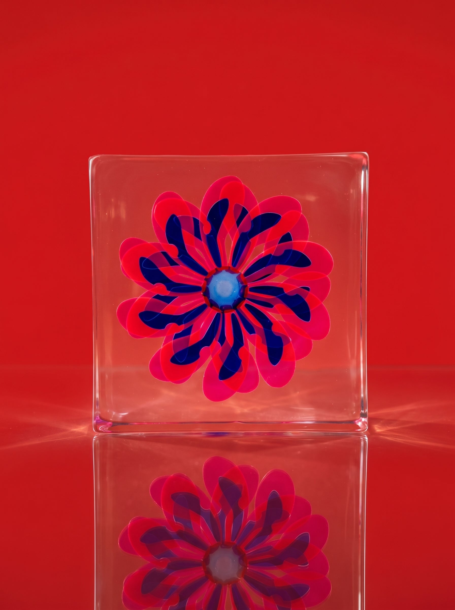 Pink & Blue Flower