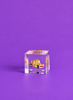La Coccinelle en Boîte