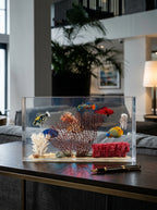 Fish without Chips - Large