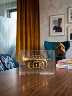 Trumpet trapped in glass