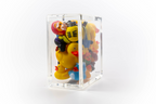 Ducks Trapped in Glass
