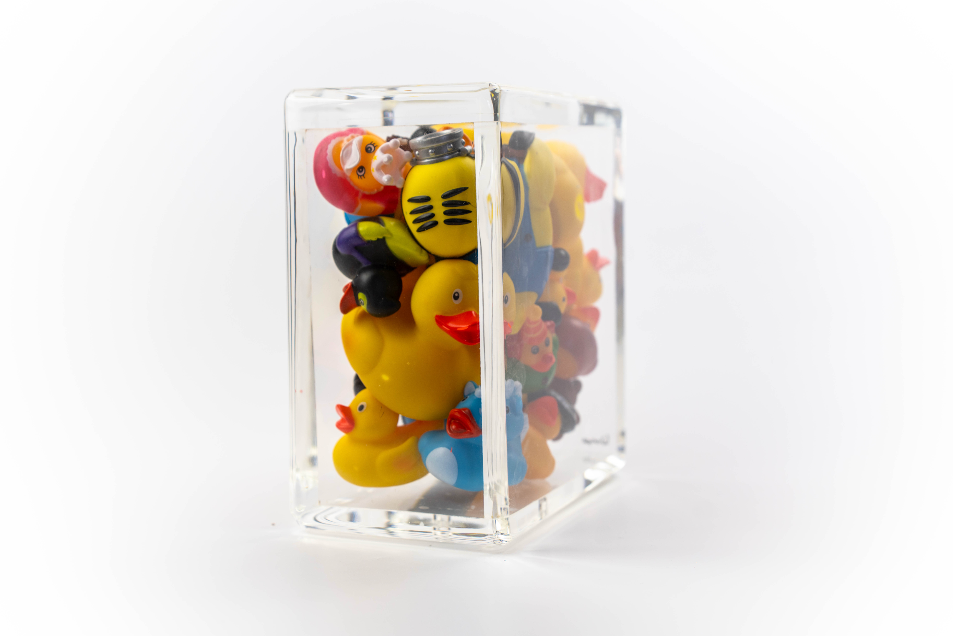 Ducks Trapped in Glass