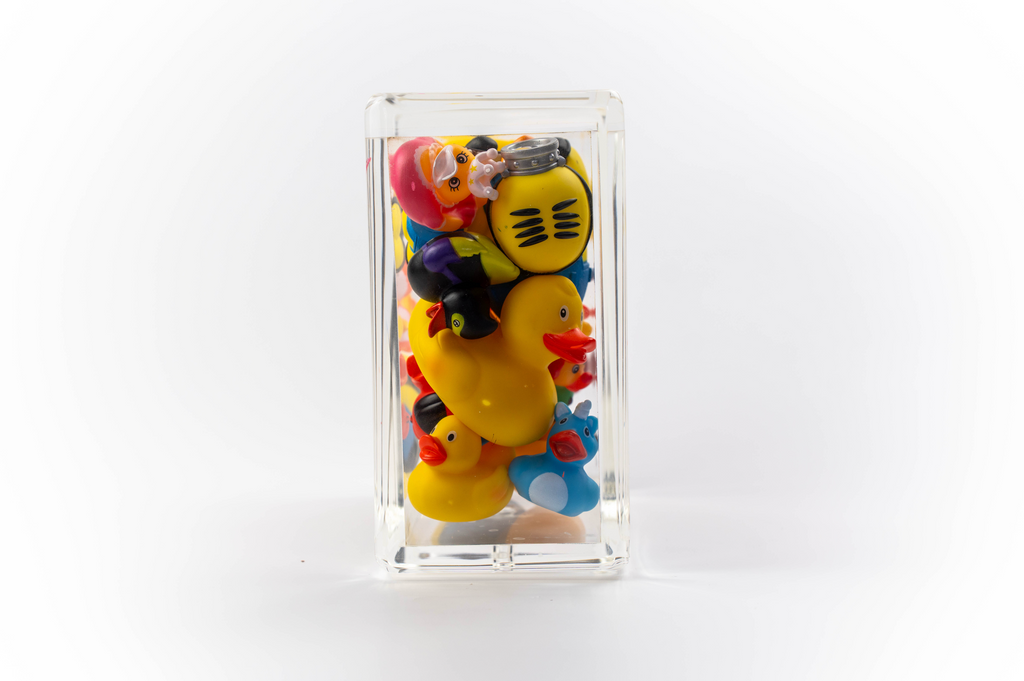Ducks Trapped in Glass