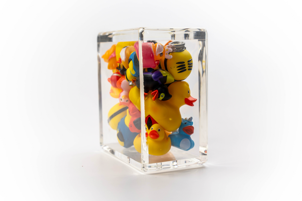 Ducks Trapped in Glass