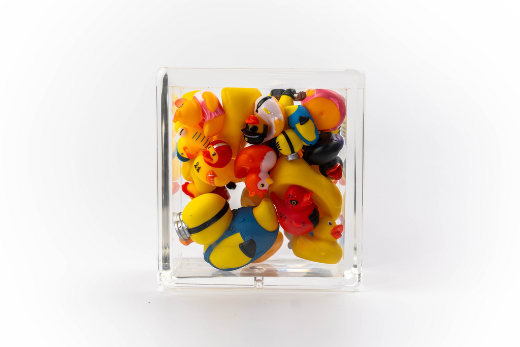 Ducks Trapped in Glass