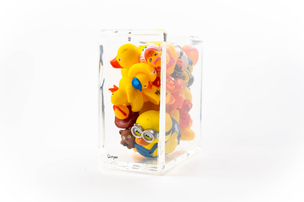 Ducks Trapped in Glass