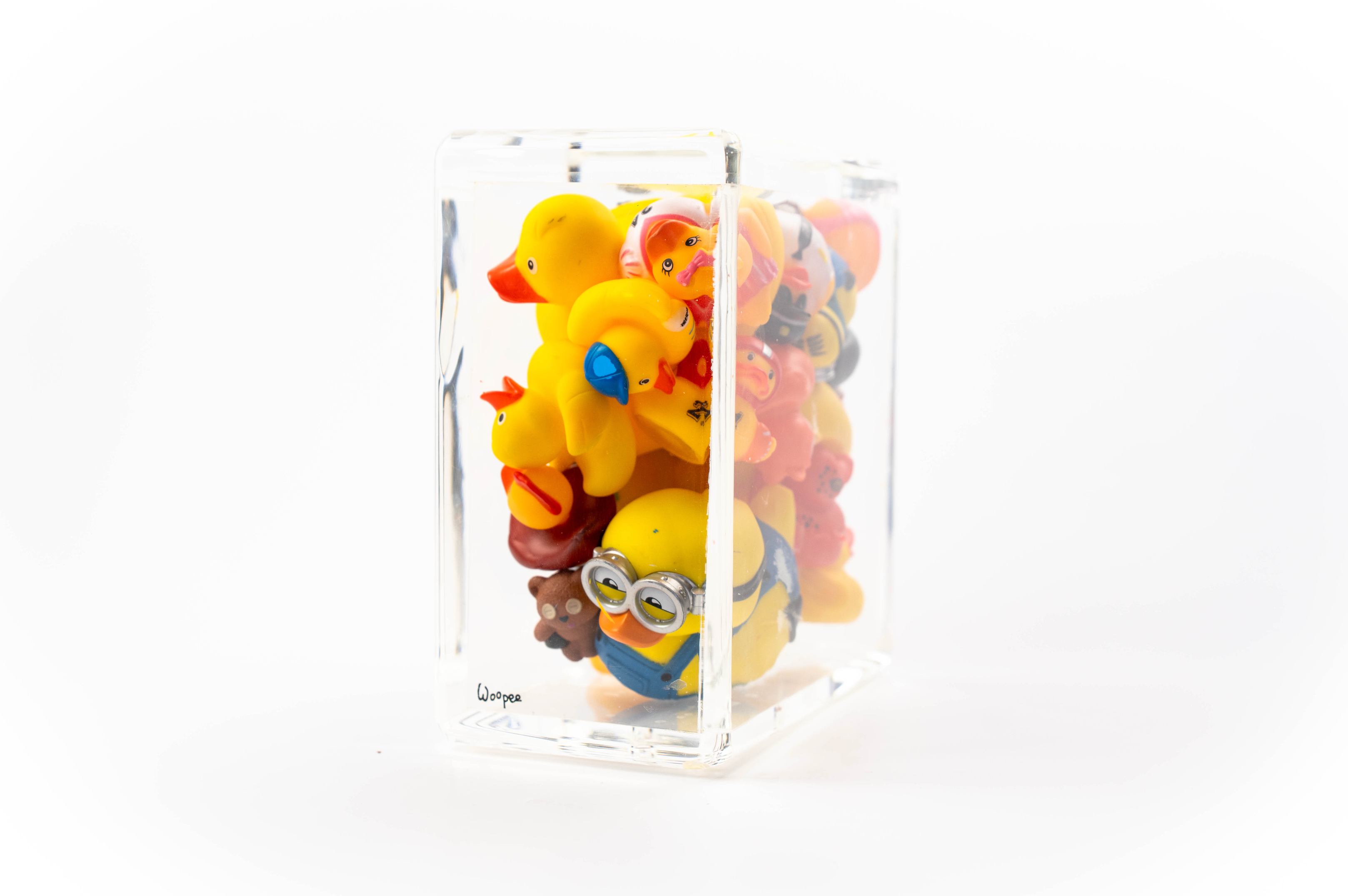 Ducks Trapped in Glass