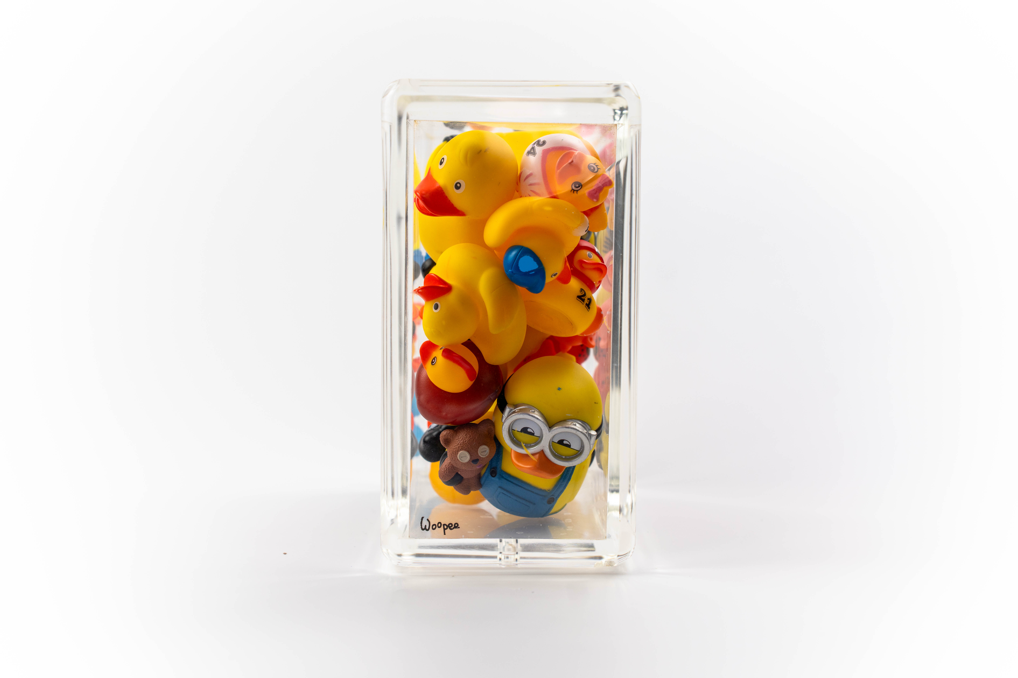 Ducks Trapped in Glass
