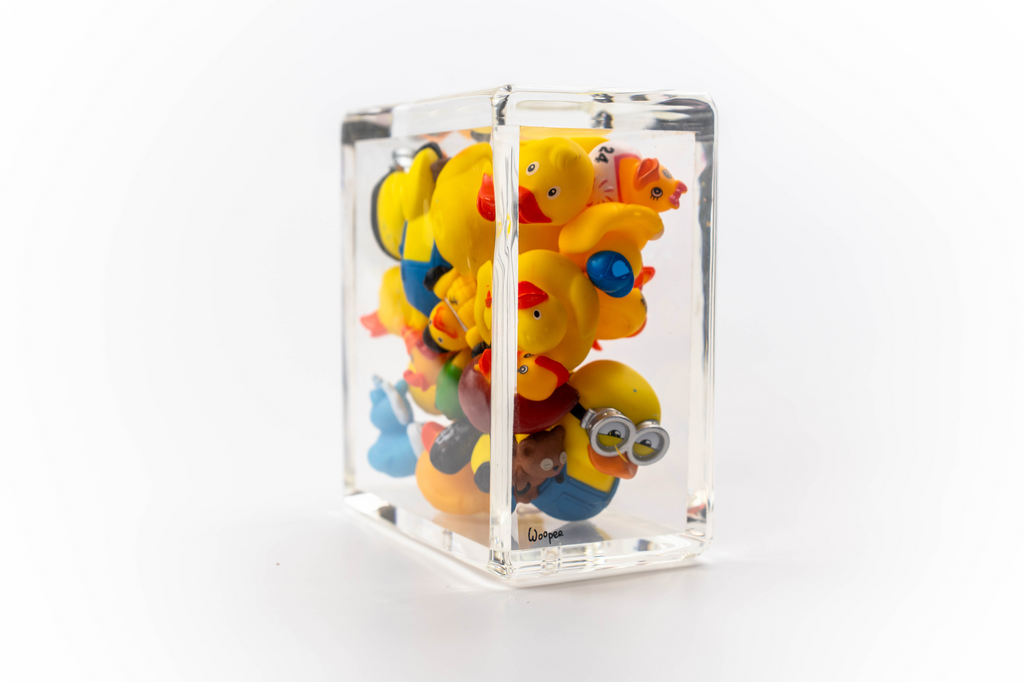 Ducks Trapped in Glass