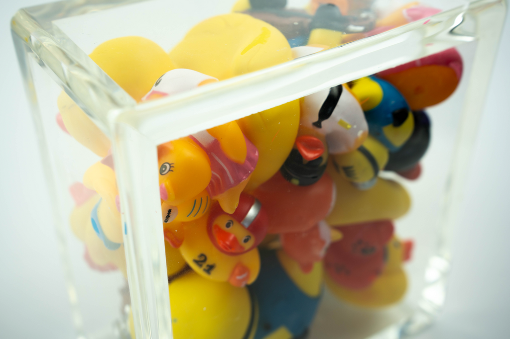 Ducks Trapped in Glass