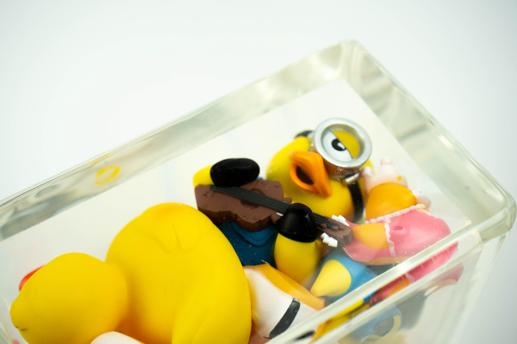 Ducks Trapped in Glass