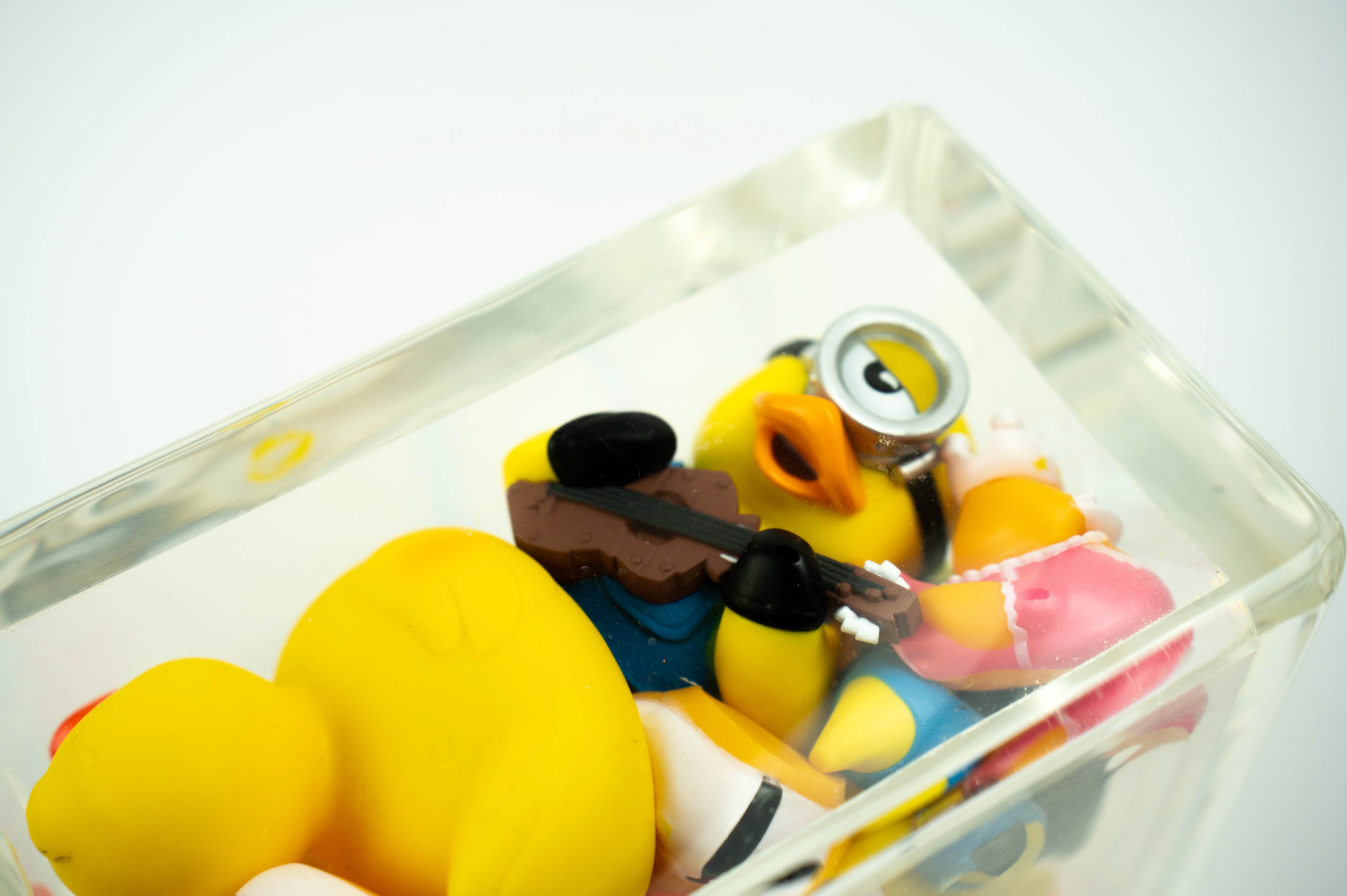 Ducks Trapped in Glass