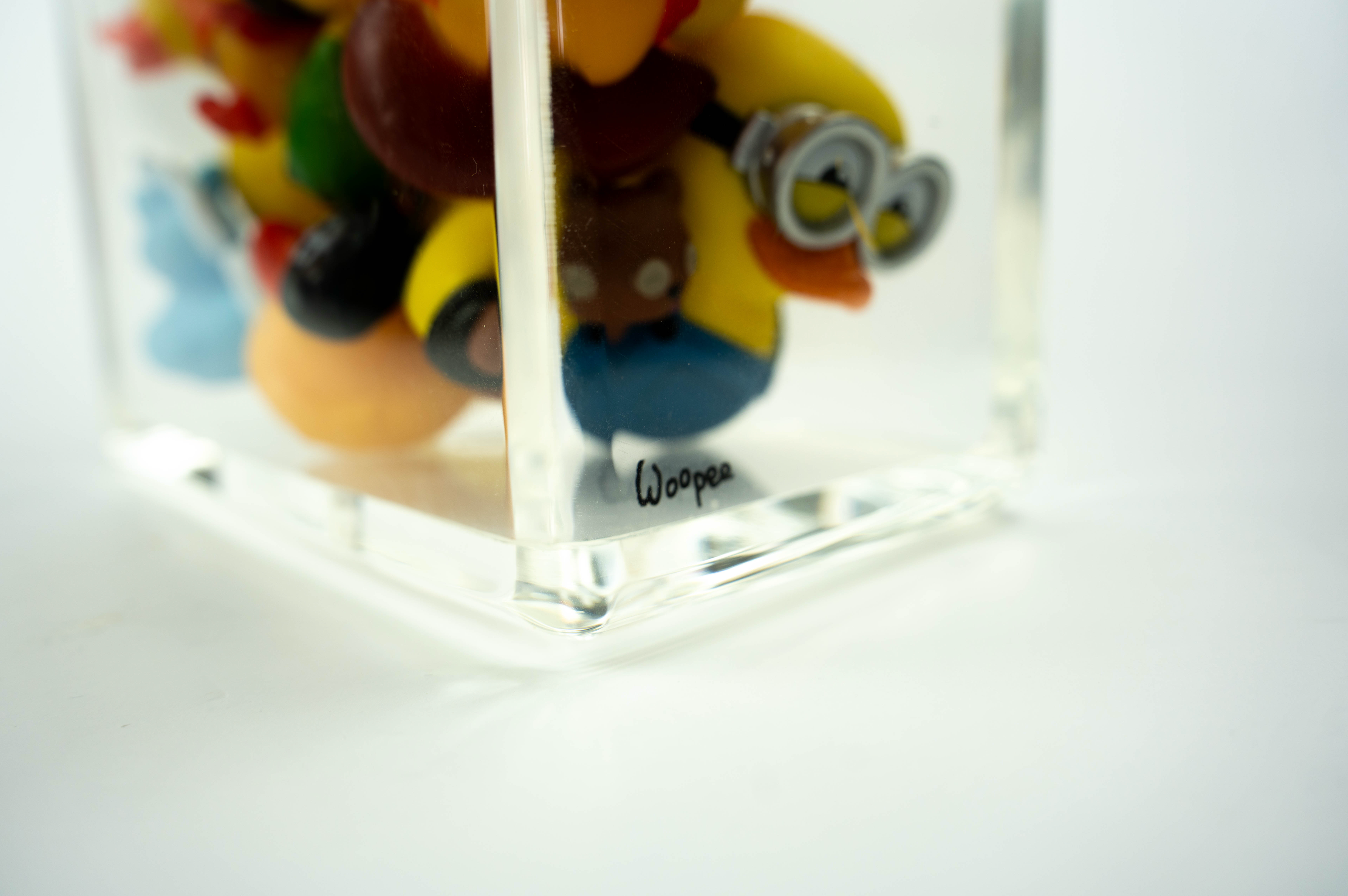 Ducks Trapped in Glass