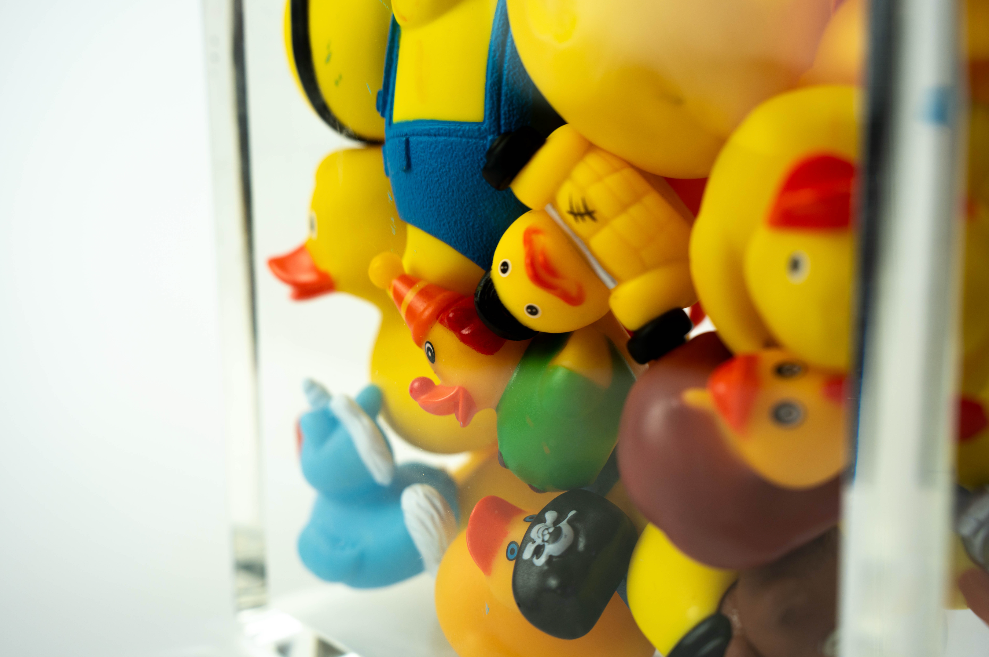 Ducks Trapped in Glass