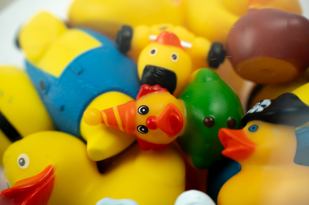 Ducks Trapped in Glass