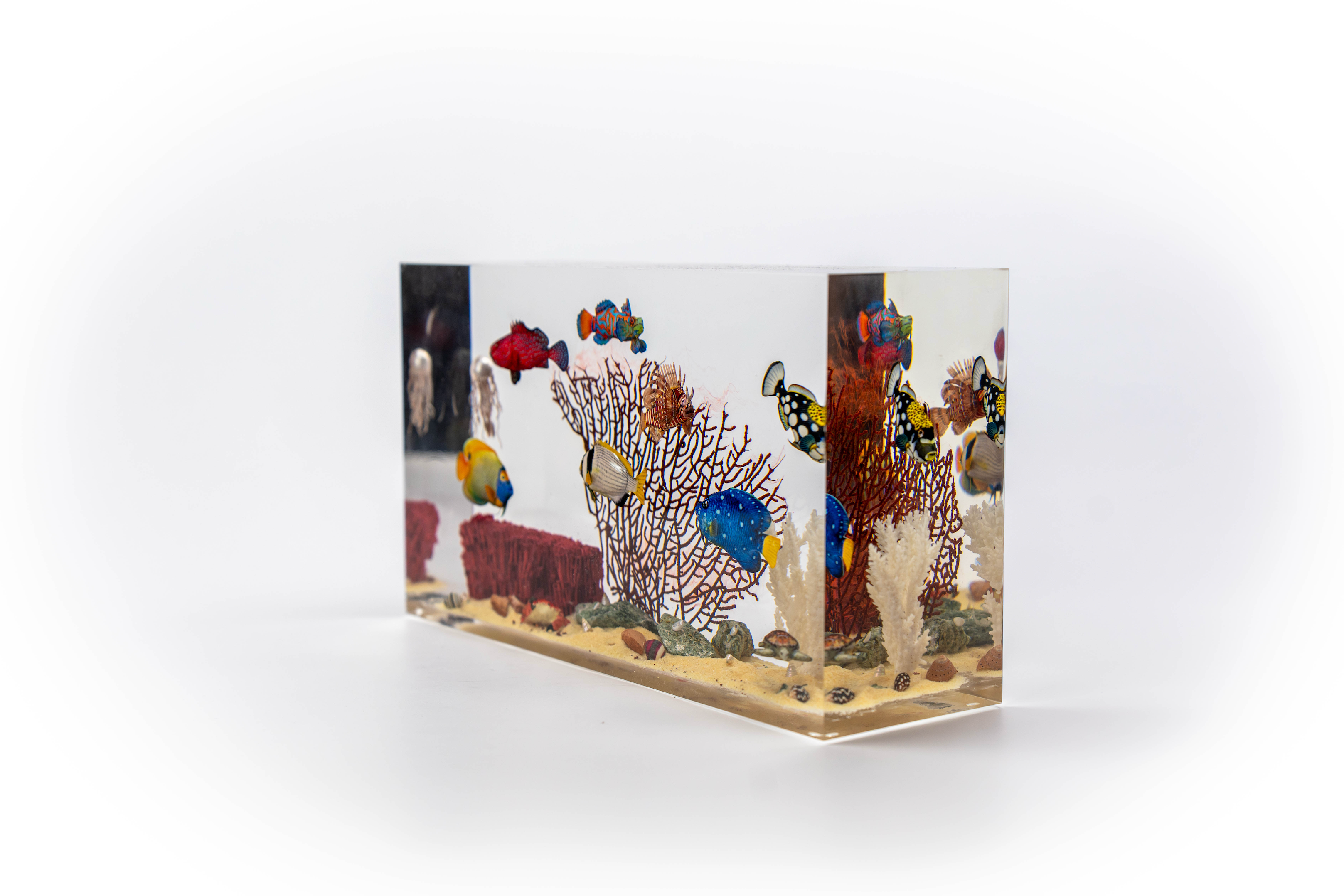 Fish without Chips - Large