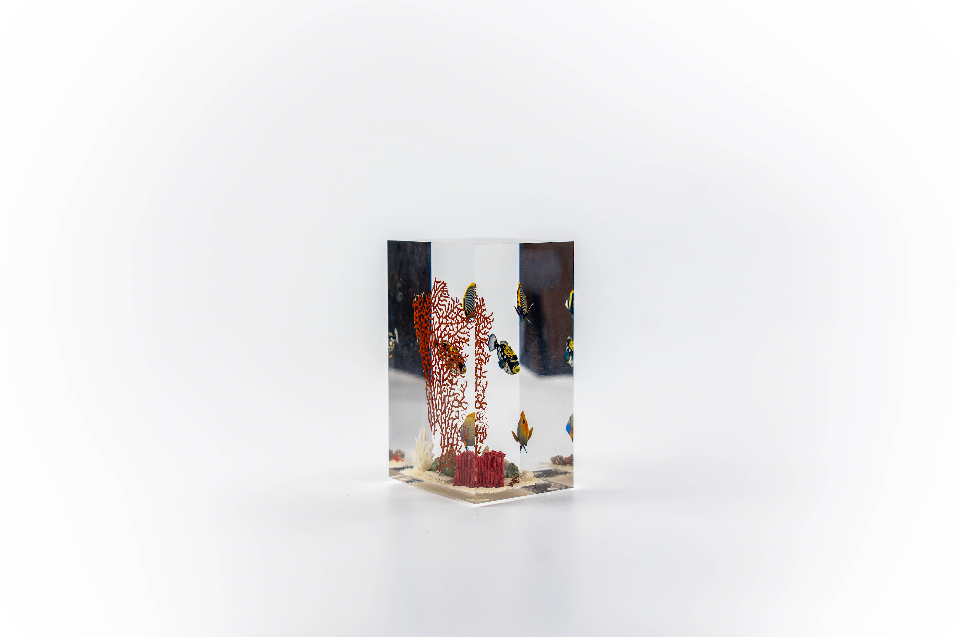 Fish without chips - Small