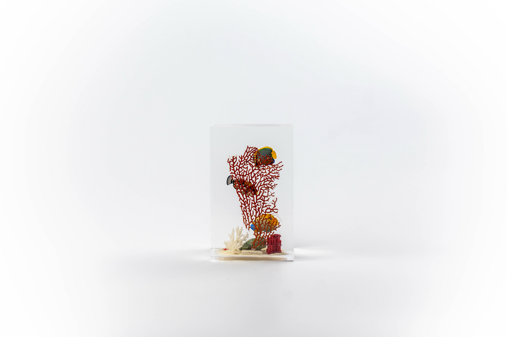 Fish without chips - Small
