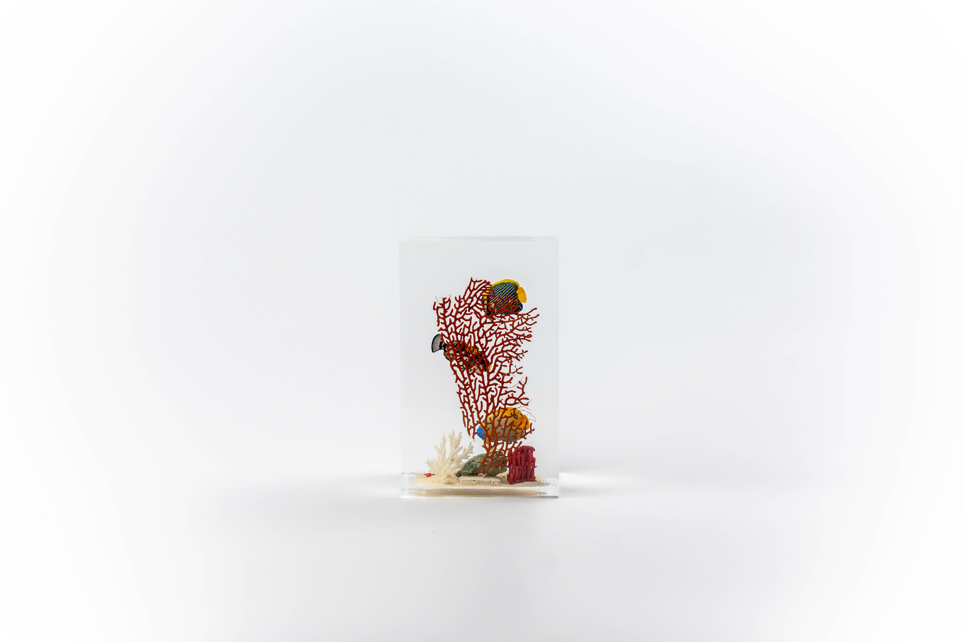 Fish without chips - Small