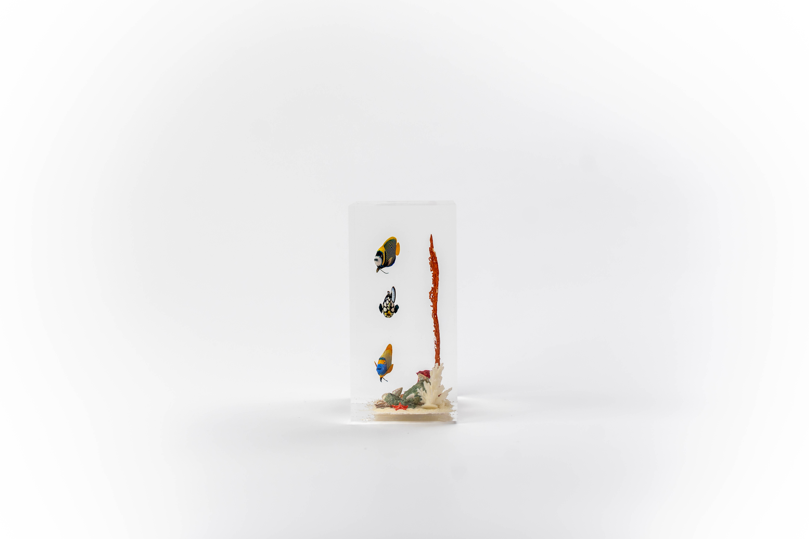 Fish without chips - Small