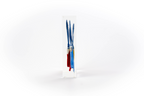 Paintbrush Trapped in Glass