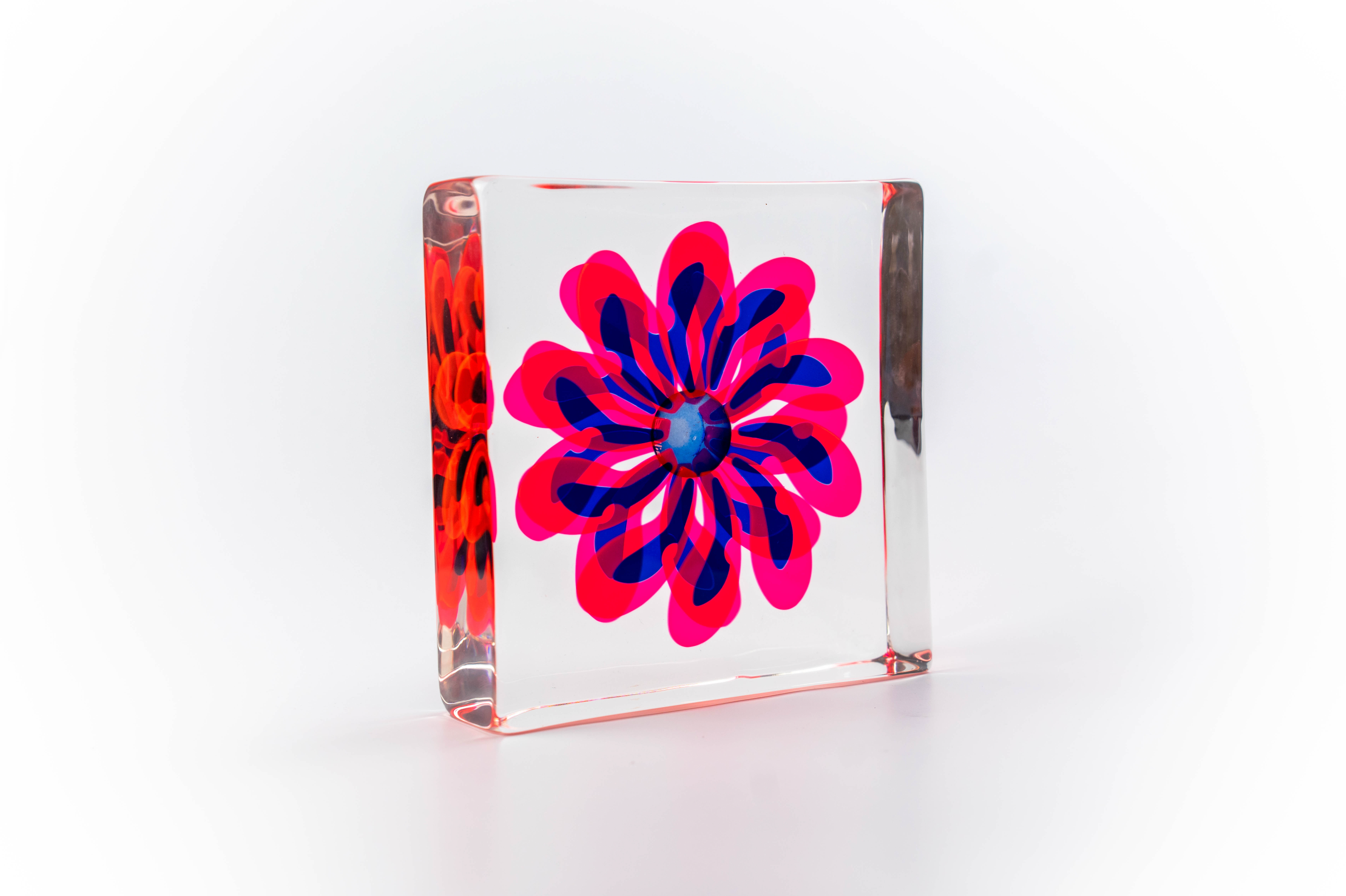 Pink & Blue Flower