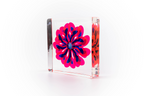 Pink & Blue Flower