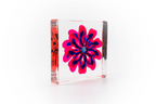Pink & Blue Flower