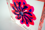 Pink & Blue Flower