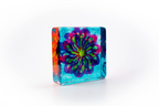 Colourful flower