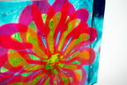 Colourful flower