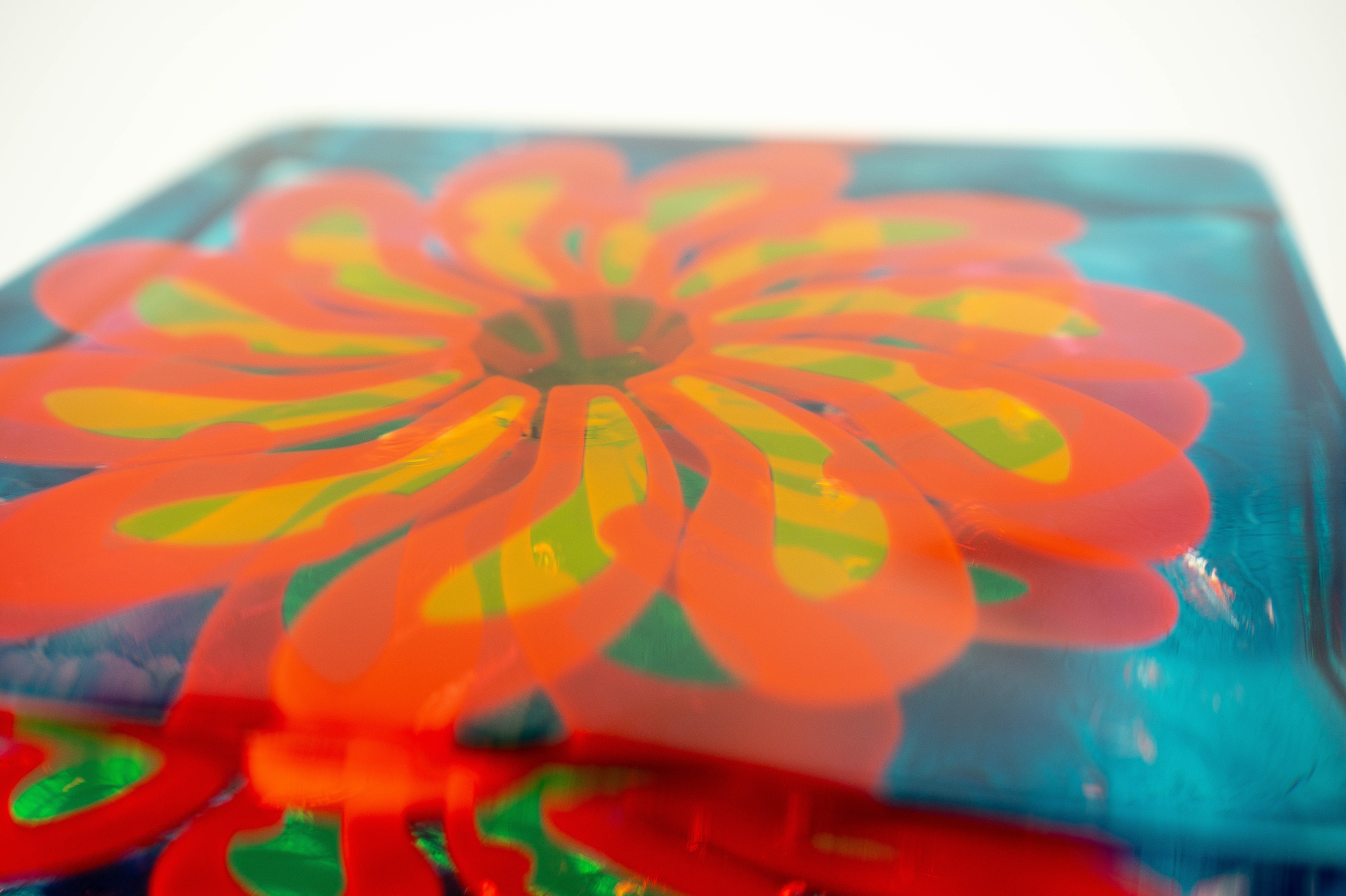 Colourful flower