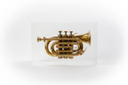 Trumpet trapped in glass