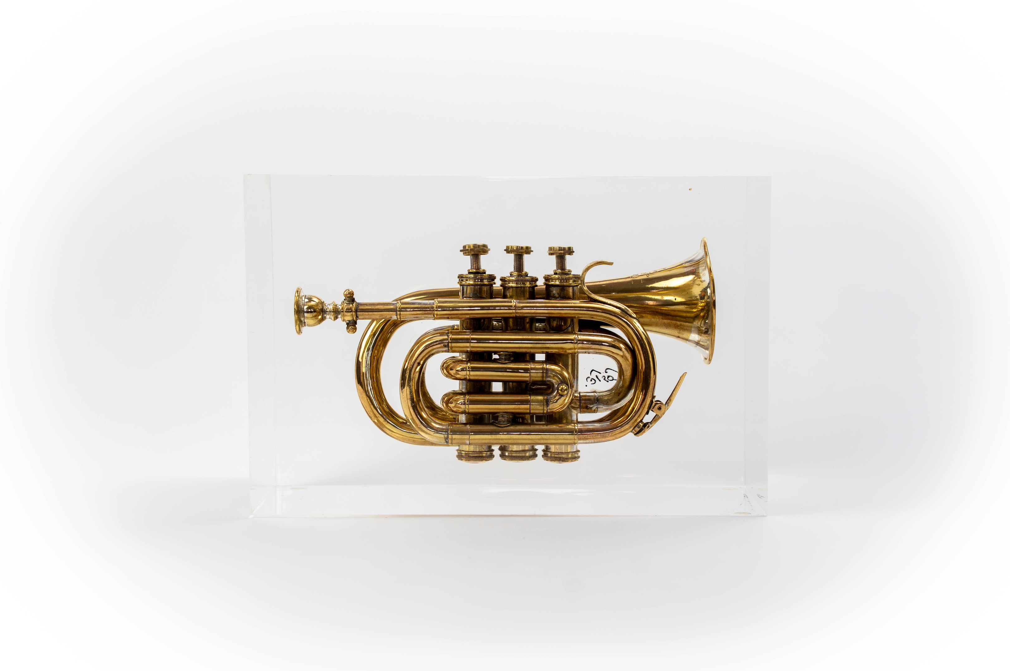 Trumpet trapped in glass