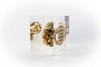 Trumpet trapped in glass