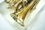 Trumpet trapped in glass