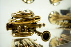 Trumpet trapped in glass