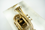 Trumpet trapped in glass