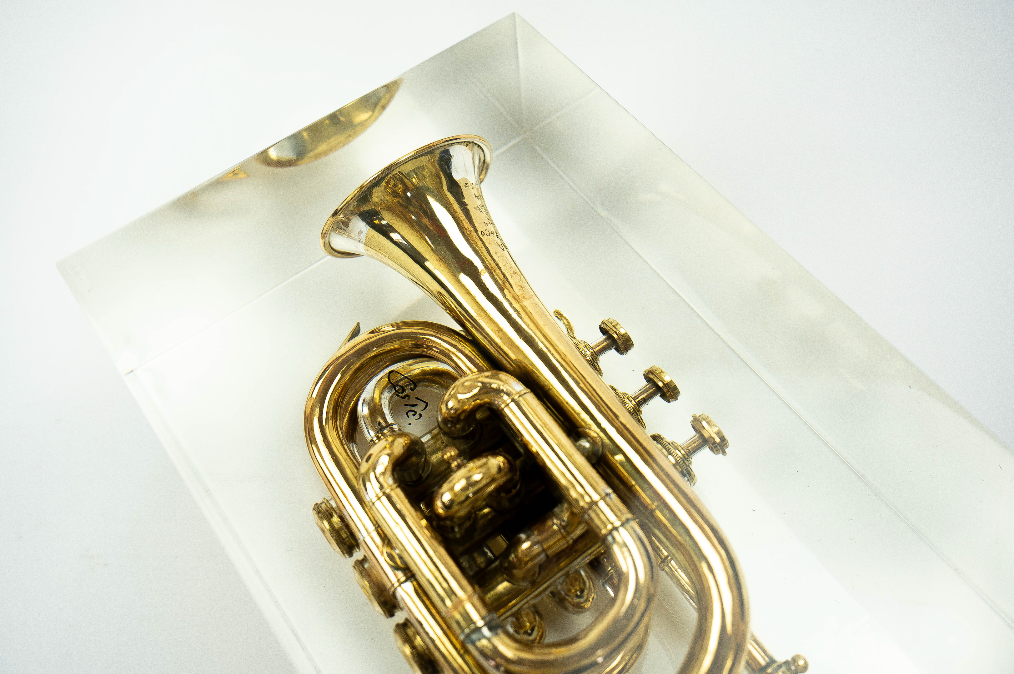 Trumpet trapped in glass